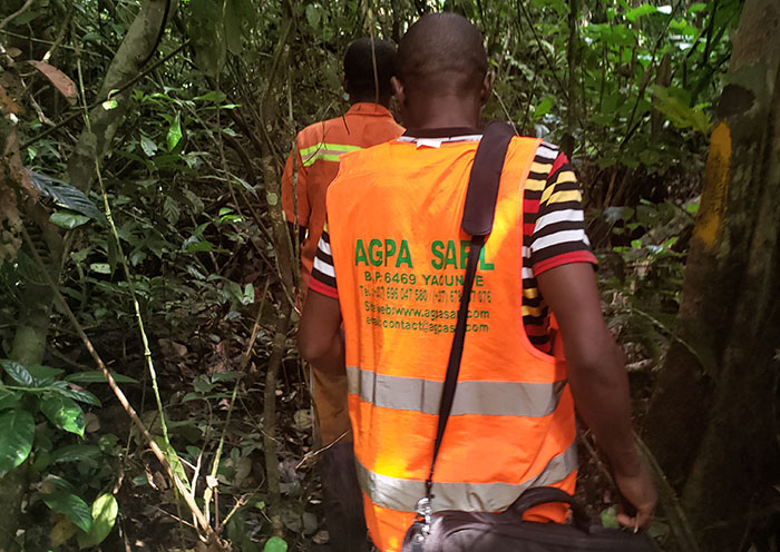 AGPA SARL en mission de placement de 33 hectares de forêt vierge dans le Mbam et Kim